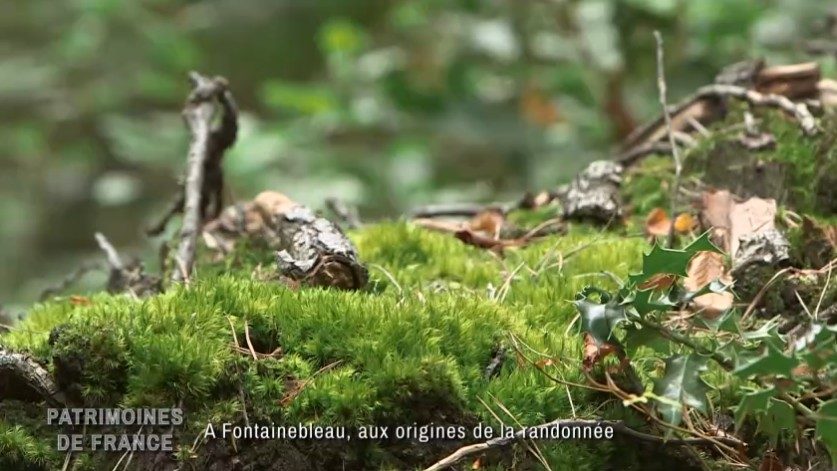 Passion Grand Air - Patrimoines de France Public Sénat